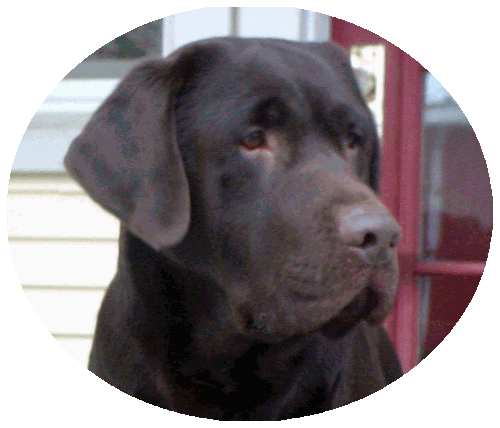 Jax