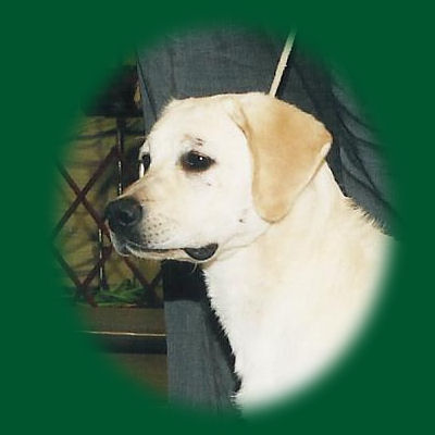 Oliver